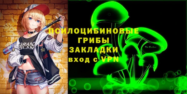 винт Алзамай