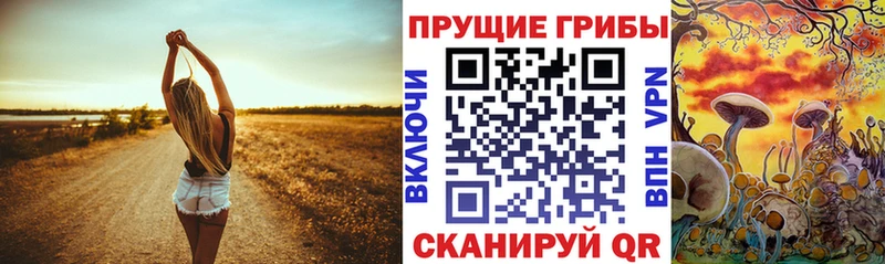 Галлюциногенные грибы ЛСД  Нестеровская 